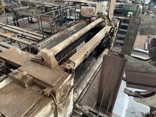 Linea desenrollo ANGELO CREMONA