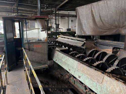 Colombo Cremona log debarking machine