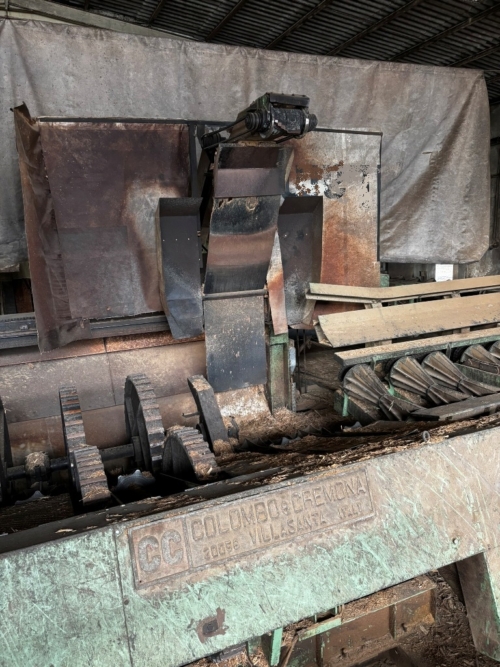 Colombo Cremona log debarking machine
